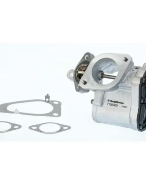 AGR-Ventil BorgWarner 710938D Tovární Cena