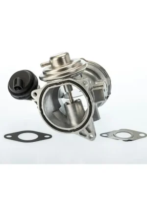 AGR-Ventil BorgWarner 7649D Horká Nabídka