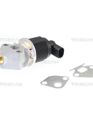 AGR-Ventil TRISCAN 8813 29009 Cenová Bomba