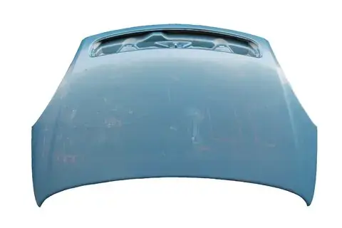 Zlevněný Kapota přední (1999-2004) 7901H4