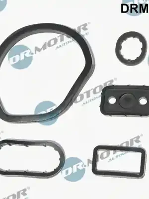 Cenový Hit Sada těsnění, chladič oleje DR.MOTOR AUTOMOTIVE DRM0656SL