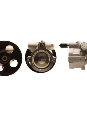 Horká Nabídka Hydraulické čerpadlo, řízení ELSTOCK 15-0259