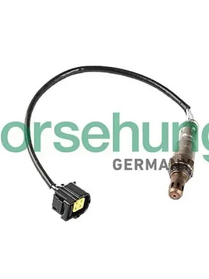 Nakupujte Hned Lambda sonda Borsehung B12586