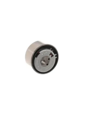 Originální Napínací kladka, ozubený řemen SKF VKM 12206