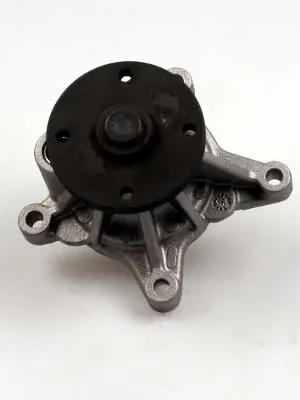 Časově Omezené Vodní čerpadlo, chlazení motoru HEPU P7744