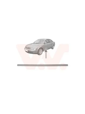 Autentický Ozdobná / ochranná lišta, dveře VAN WEZEL 5836403
