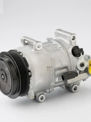 Kompresor, klimatizace DENSO DCP17070 Cenově Výhodný