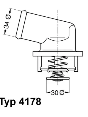 Přímo Od Výrobce Termostat, chladivo WAHLER 417892D