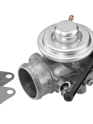 AGR-Ventil WAHLER 7301D Must-Have