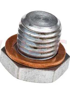 Objednat Nyní výstupní šroub olejové vany M12x1,5 L=10 mm