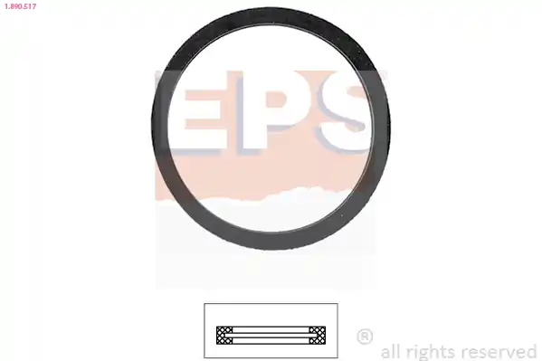 Nejlepší Volba Těsnění, termostat EPS 1.890.517