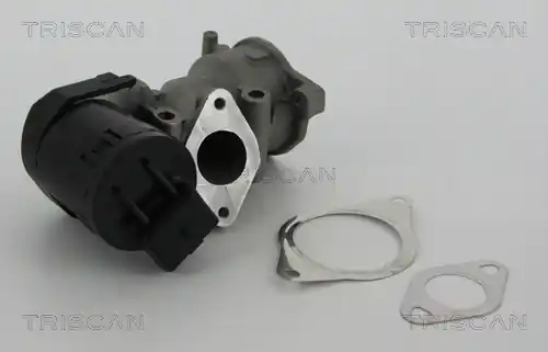 AGR-Ventil TRISCAN 881310001 Ihned K Objednání