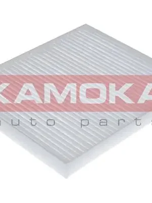 Časově Omezené Filtr, vzduch v interiéru KAMOKA F409001