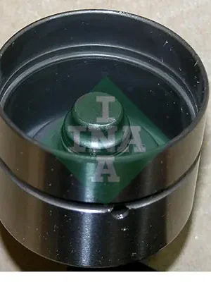 Časově Omezené Zdvihátko ventilu INA 420021710