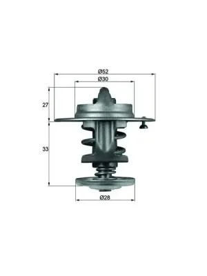 Zlevněný Termostat, chladivo MAHLE TX 80 83