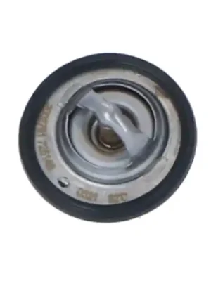 Termostat, chladivo NRF 725146 Časově Omezené