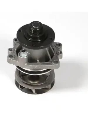 Cenově Výhodný Vodní čerpadlo, chlazení motoru HEPU P472