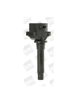 Ověřený Zapalovací cívka BorgWarner (BERU) ZS436