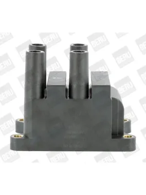 Vrácení Zdarma Zapalovací cívka BorgWarner (BERU) ZS556