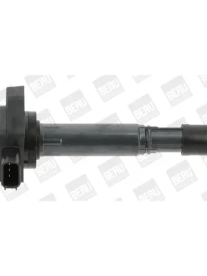 Speciální Cena Zapalovací cívka BorgWarner (BERU) ZSE170