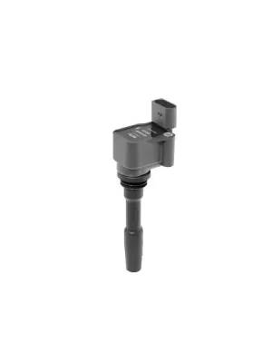 Zapalovací cívka BorgWarner (BERU) ZSE231 Cenově Výhodný