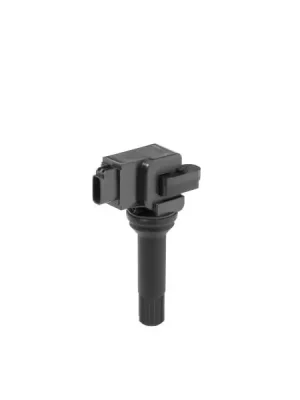 Přímo Od Výrobce Zapalovací cívka BorgWarner (BERU) ZSE290